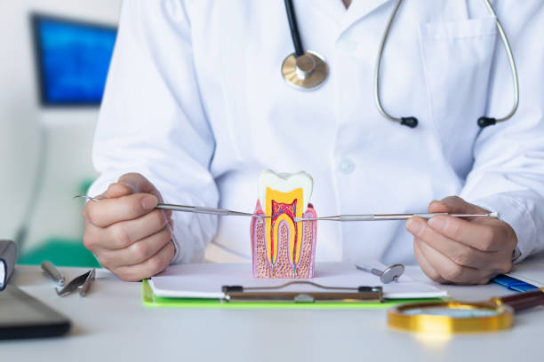 Best Emergency Treatment for Toothache in Brooklyn Park, MN